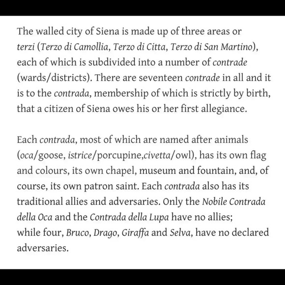 Contrada Della Selva Rhinoceros and Oak tree flag - Picture 8 of 10